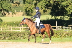 SBM_15657
