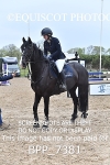 BPP_7381