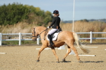 SBM_001881