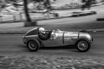 VSCC-233