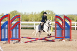 SBM_006890