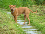 on a walk in August 2012