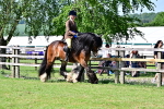 SBM_09474