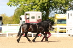 SBM_10979