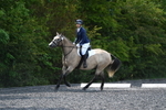 WJ5_9732