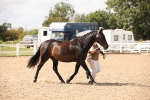 SBM_04539