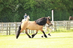 SBM_00804