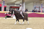 SBM_09664