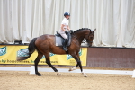 SBM_001037