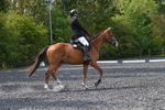 WJ5_9352