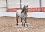 JAC_5696