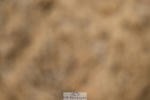 251004A-135459-01371