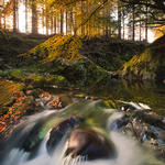 Hidden Falls
