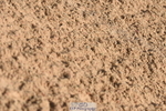 230906A-101250-00038