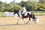 SBM_007437