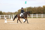 SBM_010287