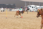 SBM_004368