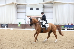 SBM_008053