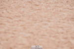 240505A-130016-05919