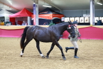 SBM_00471