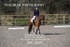 BPP_8685