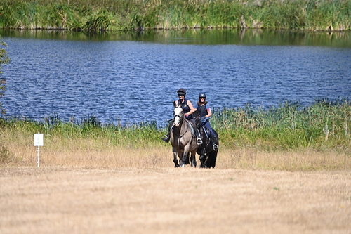 WJ6_8651