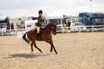 SBM_04232