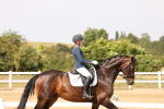 SBM_002006
