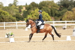 SBM_009893