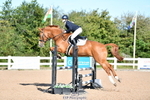 Cls 20 Snr British Novice and 90cm Open portfolio