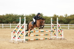 SBM_008895