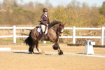 SBM_003474