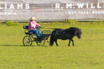 Harness Driving Challenge 1. 0A3A9567