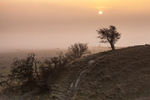 Maiden Castle Fog #1, Dorset