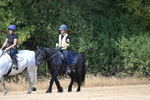 WJ6_9123