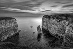 Queen Rock Mono