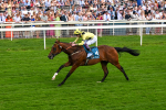 280625-Race 4-Hankelow-0529