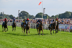 220826-Race 6-Sale Shark-1525