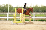 SBM_009576
