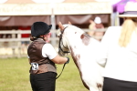 SBM_08655