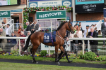 yr13052022r7-8