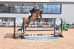 BPP_8644