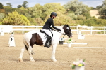 SBM_010715