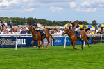 300826-Race 3-Pivotal Voyage-0190