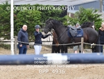 BPP_4936
