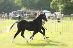 SBM_00689