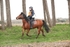 SPXX3646
