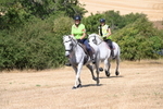 WJ6_8885