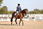 SBM_01605