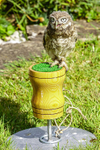 0628 IMG_6629